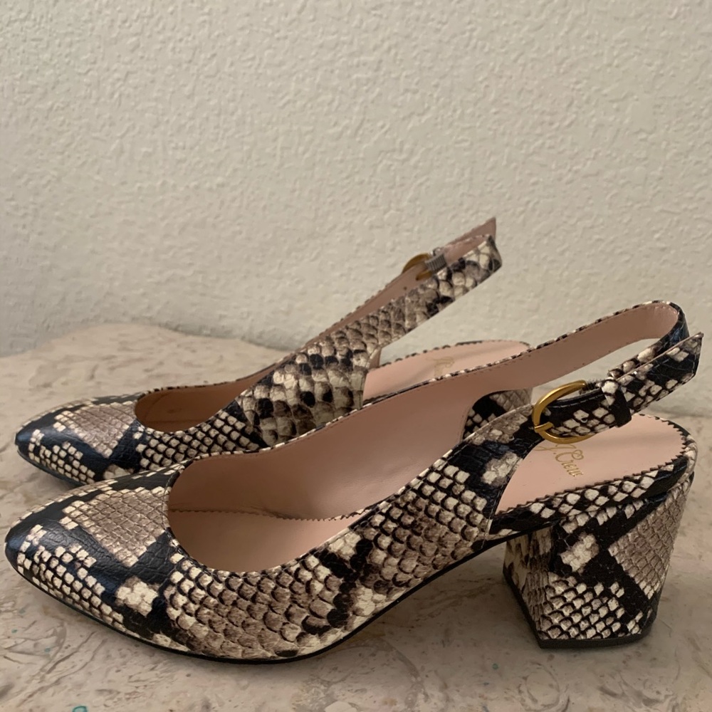J Crew Shoes in Snake Sz 8